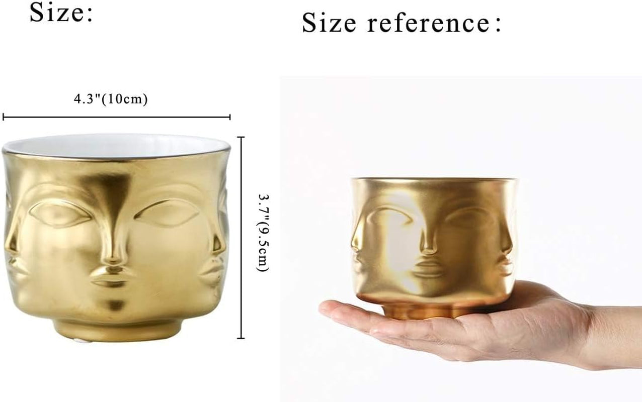 Demure Resting Face vase and orchid planter