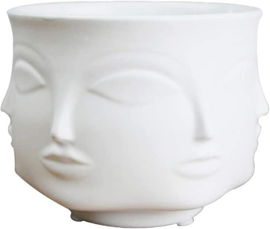 Demure Resting face vase, catch all & orchid Planter 